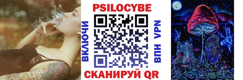 наркота  Кувшиново  hydra ссылка  Галлюциногенные грибы мицелий 