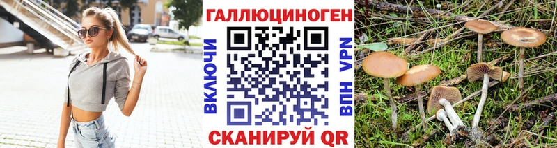 Псилоцибиновые грибы Psilocybine cubensis Кувшиново